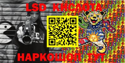 индика Гусь-Хрустальный