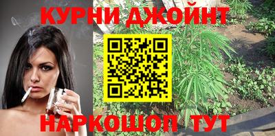 индика Гусь-Хрустальный
