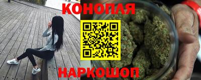 индика Гусь-Хрустальный
