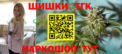 индика Гусь-Хрустальный