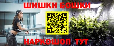 индика Гусь-Хрустальный