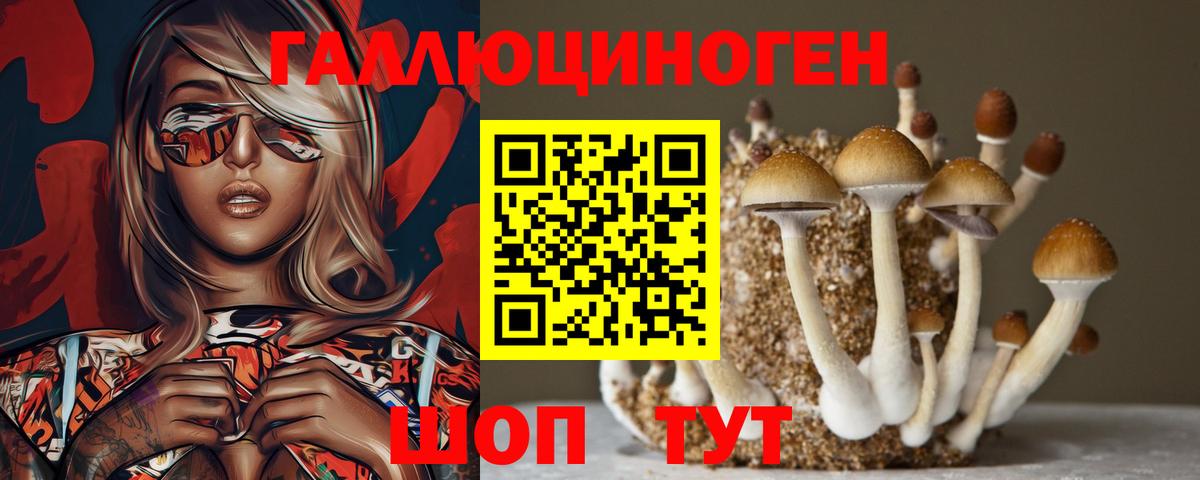 Псилоцибиновые грибы Magic Shrooms Гусев