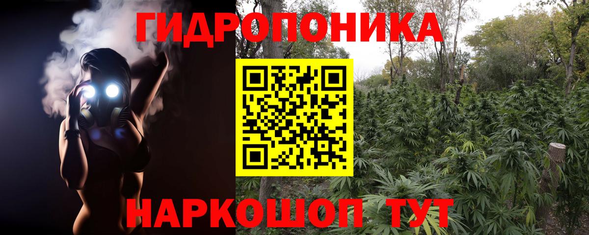 Гусев  Канабис ГИДРОПОН  Конопля индика  Вход с VPN  Шишки марихуана THC 21% 
